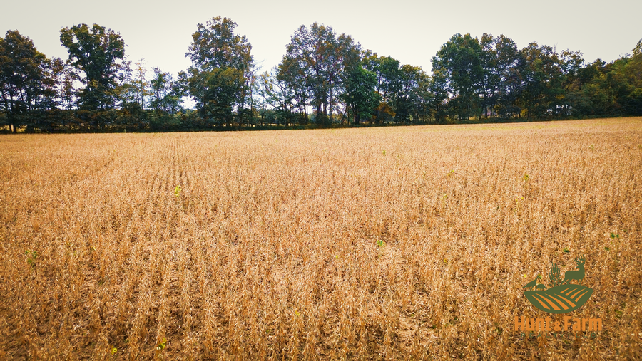 Still 2025-10-28 134509_1.42.1.png